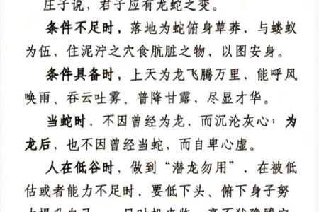 解密蛇出洞：探寻命运的象征与启示