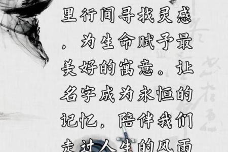 命运的诠释：你我之间的选择与机会