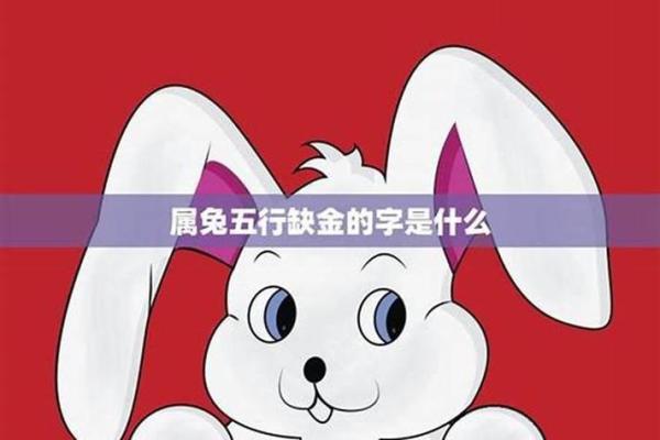 属兔人在五行中属于什么命?详细解析与运势指南! 属兔人在五行中属于什么命?详细解析与运势指南!