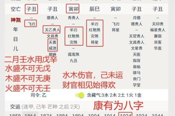 壬子命的五行解读:探索水命人的人生奥秘与运势 壬子命的五行解读:探索水命人的人生奥秘与运势