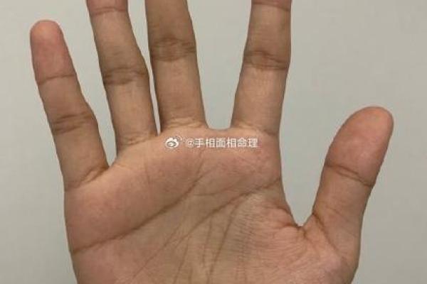 男人的手指,哪一根最有福气命,揭秘你的命理之路! 男人的手指,哪一根最有福气命,揭秘你的命理之路!