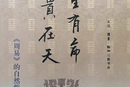 穷命与富命：揭示命运背后的深意与人生的选择