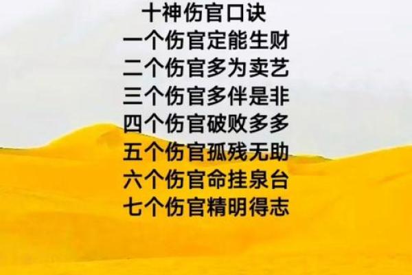 伤官格命局：探索命理中的智慧与机遇