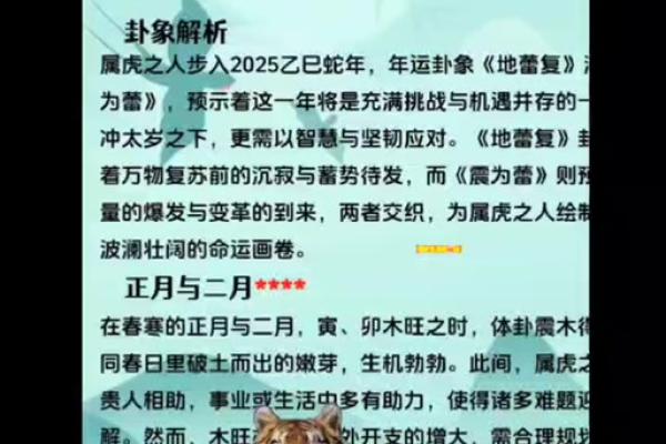壬寅年:探索虎年的象征与命运的奥秘 壬寅年:探索虎年的象征与命运的奥秘