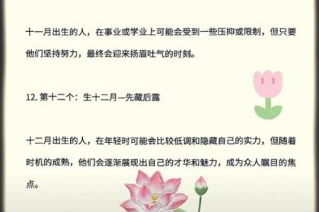 农历三月出生：前世命运的神秘探寻与今生启示