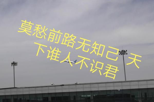 漂泊命的命格解析:为何命运让你四处流浪? 漂泊命的命格解析:为何命运让你四处流浪?