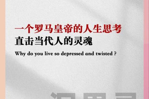 强星之命：命格解析与人生指引