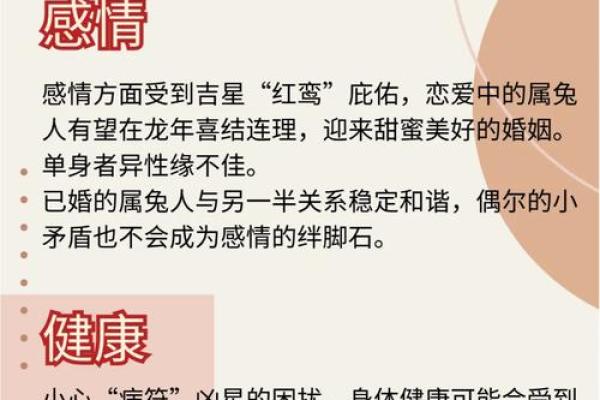属兔一月出生的命运解析:如何利用优势创造美好人生 属兔一月出生的命运解析:如何利用优势创造美好人生