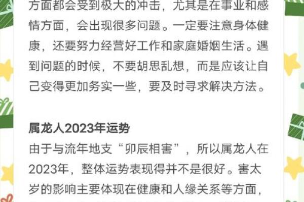 属兔一月出生的命运解析:如何利用优势创造美好人生 属兔一月出生的命运解析:如何利用优势创造美好人生