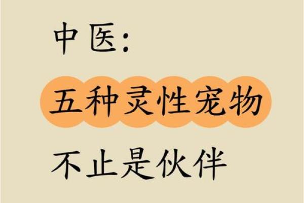 属狗钗钏金命的特点与命中缺失的五行分析 属狗钗钏金命的特点与命中缺失的五行分析