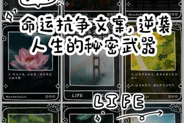 少年不宜,中年大吉,命运的秘密与人生哲学探讨 少年不宜,中年大吉,命运的秘密与人生哲学探讨