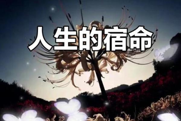 男七八年10月16日生人的命运与人生探索