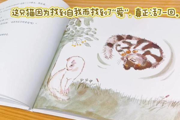 视猫如命:爱猫人士的心声与生活点滴 视猫如命:爱猫人士的心声与生活点滴