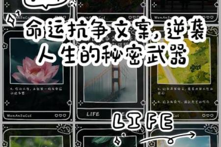 少年不宜，中年大吉，命运的秘密与人生哲学探讨