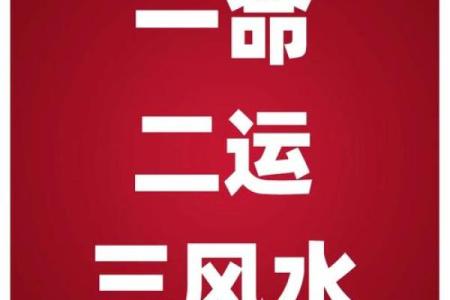 命理解析：揭开黄命、紫命、白命、绿命的神秘面纱