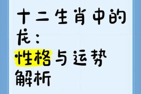 深入了解属龙之人的47岁运势与命理分析