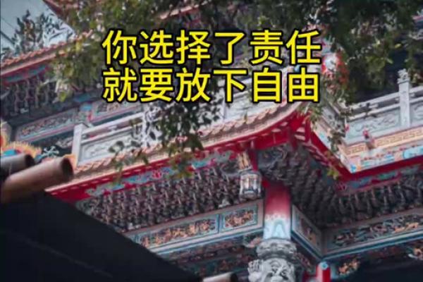 事情比命长：人生的选择与责任