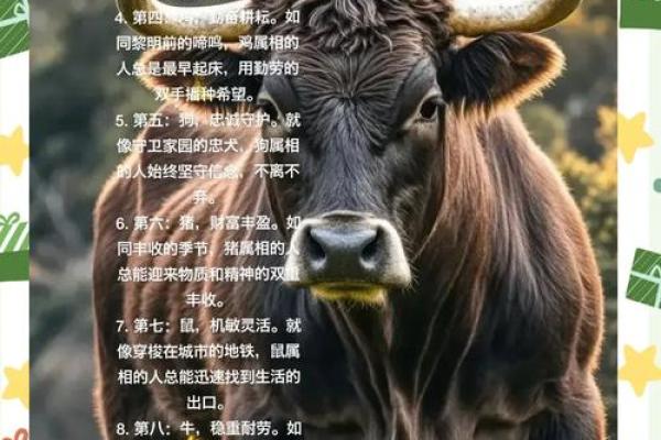 揭示七月出生的鸡命女性的性格与运势秘密 揭示七月出生的鸡命女性的性格与运势秘密