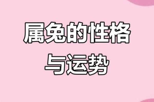 1987年属兔男士的命运解析：智慧与机会的结合之路