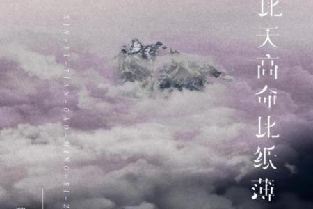 人最怕心高命不强：追寻梦想的现实之路