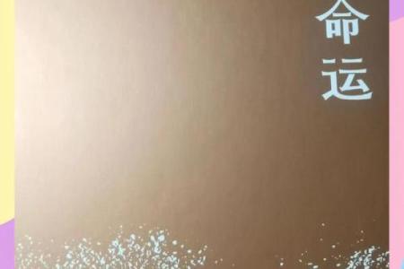 揭开命理的神秘面纱：以命抵命的深刻哲理探索