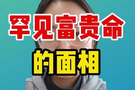 面相与命运：揭示富贵命的神秘面纱