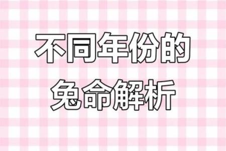 1987年属兔男士的命运解析：智慧与机会的结合之路
