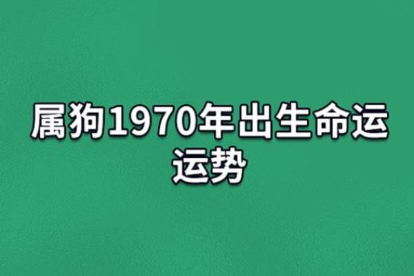 属狗1994出生的人是什么命运?看似平淡却蕴含深意的生命之旅 属狗1994出生的人是什么命运?看似平淡却蕴含深意的生命之旅