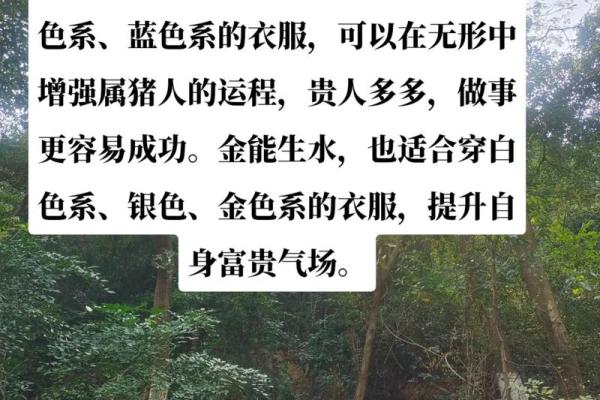 如何判断一个人是金命还是水命，揭秘命理中的奥秘！