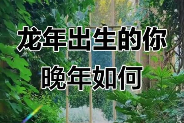 属龙女性的命运解析：她们有哪些吉利的命格与特征？