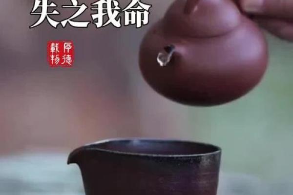 失之我命得之我幸:在失去与获得之间的哲学思考 失之我命得之我幸:在失去与获得之间的哲学思考