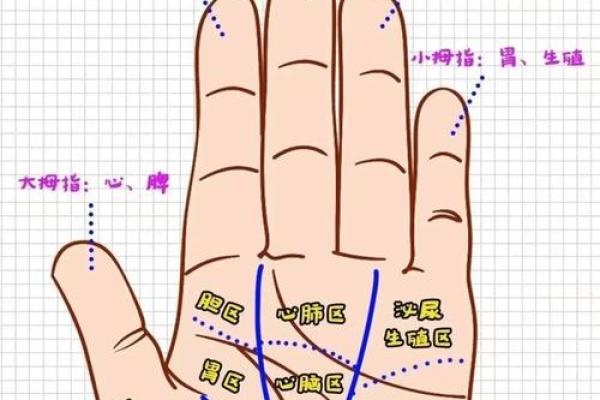 解读手纹三条线的命运奥秘:你知道吗? 解读手纹三条线的命运奥秘:你知道吗?