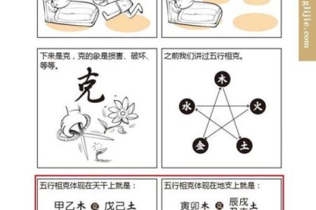 如何通过五行分析了解你的命理缺失与木元素的关联
