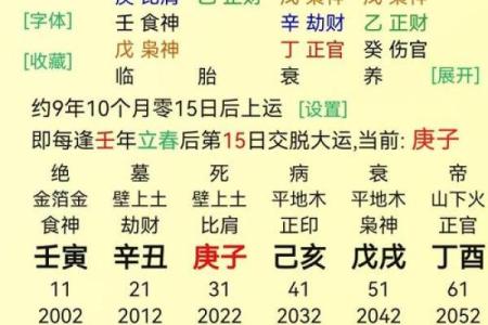 食伤格女命与职业选择：最适合的方向与发展潜力