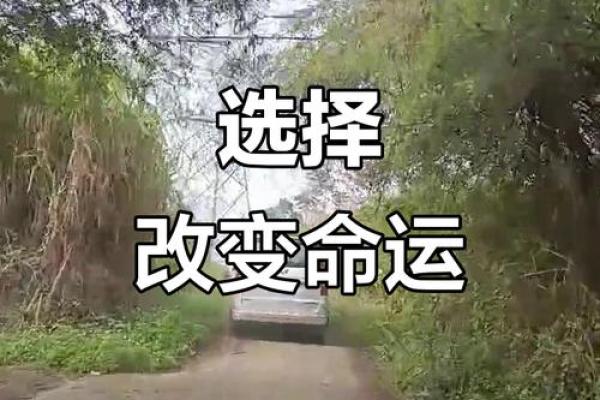 命运与选择：我命很好，为什么还要改命？