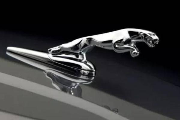 揭秘“王命命车徒”的深意与历史渊源 揭秘“王命命车徒”的深意与历史渊源