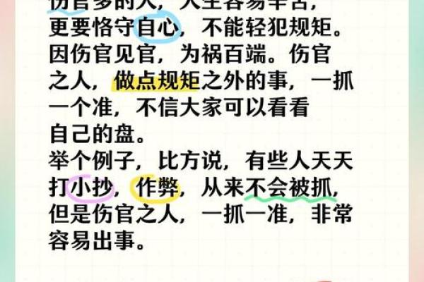 命理深探：走进桑拓木命的神秘世界与人生启示