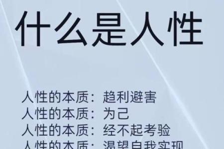 深入解析“势力如命”的深刻含义与现实启示