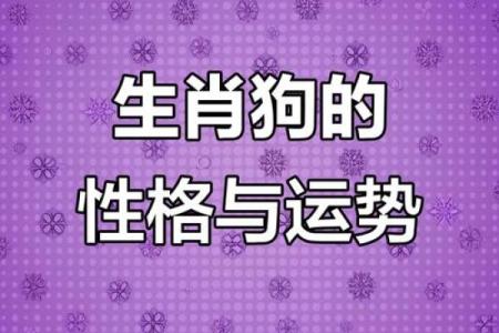 1994年属狗人的命理解析与运势展望