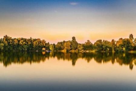 生肖龙大林木命的佩戴之道：运势提升与和谐人生的秘密