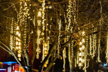 乾隆大帝与宣威将军的缘分：历史的背影与传奇的传承