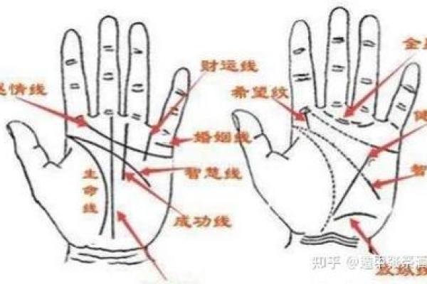 根据手相解读命理:你人生的秘密在掌心中 根据手相解读命理:你人生的秘密在掌心中