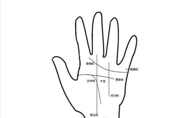 根据手相解读命理:你人生的秘密在掌心中 根据手相解读命理:你人生的秘密在掌心中