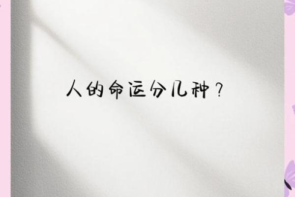 贱命与富贵命：命运的两面，选择的哲学