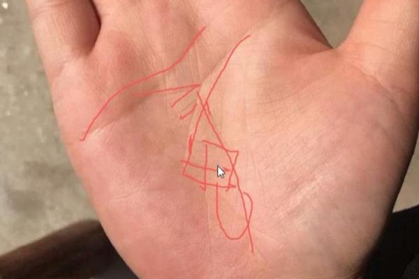 揭秘淘沙五转：命纹对人生的深远影响与应用