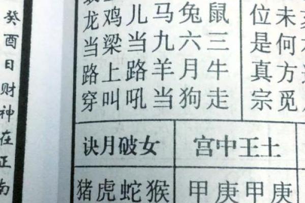 揭开1972年生肖真相：鼠年命运的种种奥秘