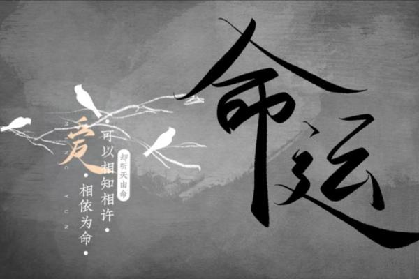 命运的交响曲：探讨人的命是天注定的吗？