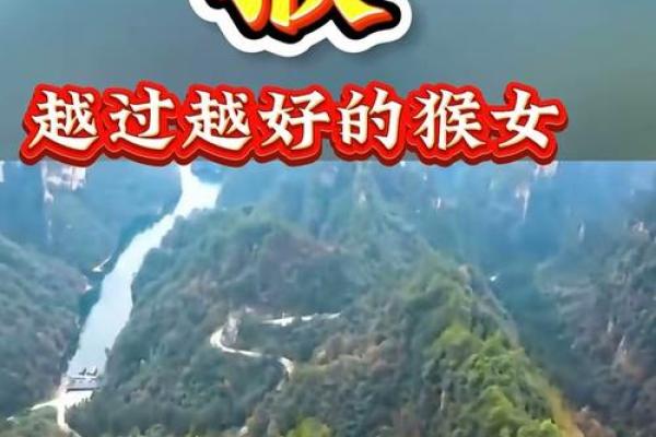 属猴女性的命理解析:智慧与魅力并存的传奇人生 属猴女性的命理解析:智慧与魅力并存的传奇人生