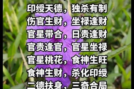日入禄归时：探讨此命格的深邃与智慧