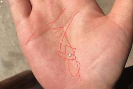 揭秘淘沙五转：命纹对人生的深远影响与应用